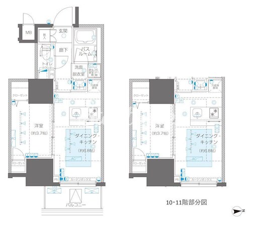 ズーム信濃町の物件間取画像
